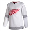 Herren Eishockey Detroit Red Wings Trikot Blank 2020-21 Reverse Retro Authentic